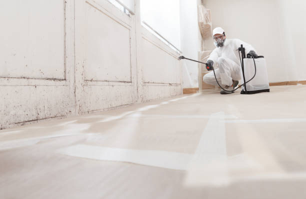24/7 Emergency Attic Mold Remediation experts in Albertson, NY